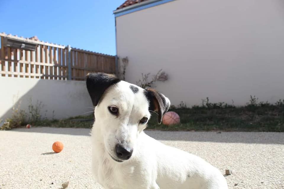 Maya